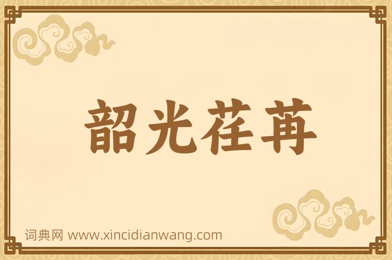 成语韶光荏苒图片