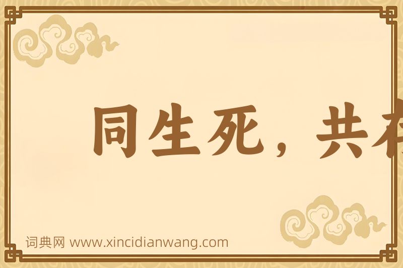 成语同生死，共存亡图片