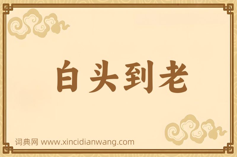 成语白头到老图片