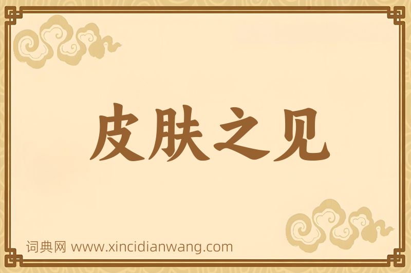 成语皮肤之见图片
