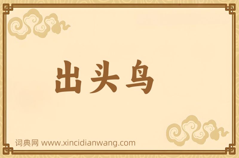 成语出头鸟图片