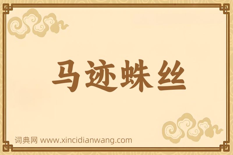 成语马迹蛛丝图片