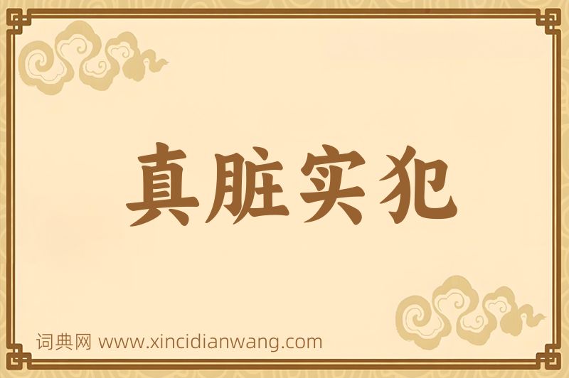成语真脏实犯图片