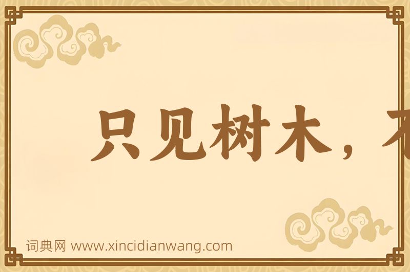 成语只见树木，不见森林图片