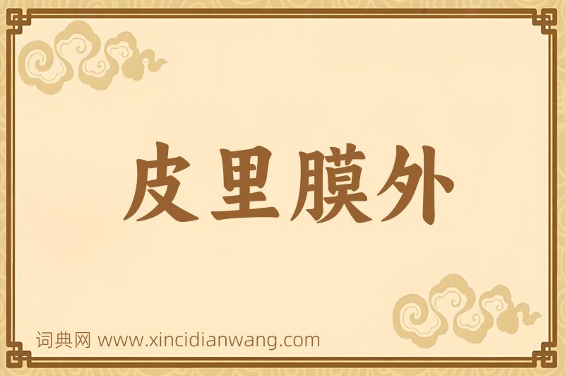 成语皮里膜外图片