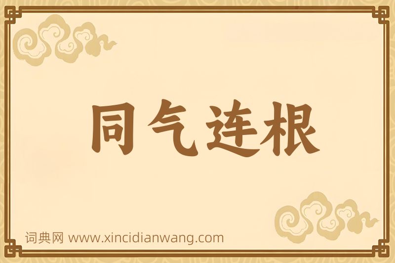 成语同气连根图片