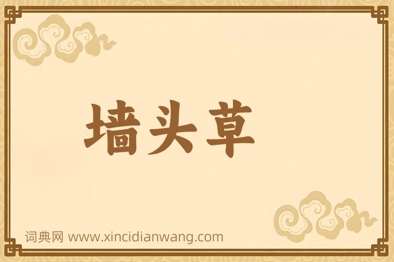 成语墙头草图片