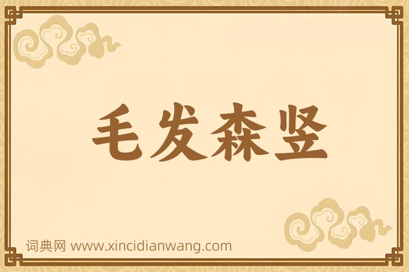 成语毛发森竖图片