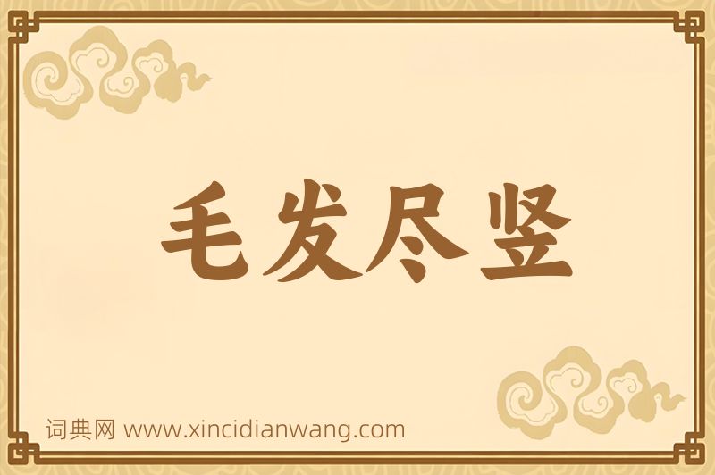 成语毛发尽竖图片
