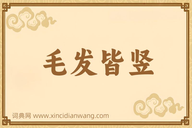 成语毛发皆竖图片