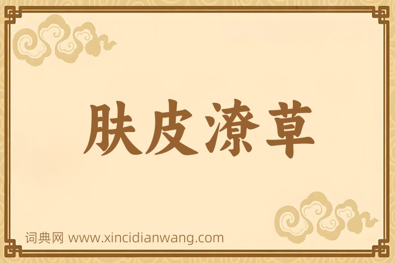 成语肤皮潦草图片