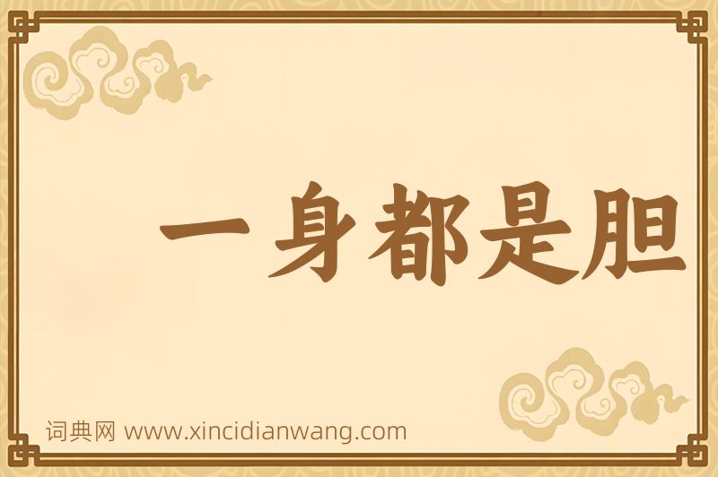 成语一身都是胆图片