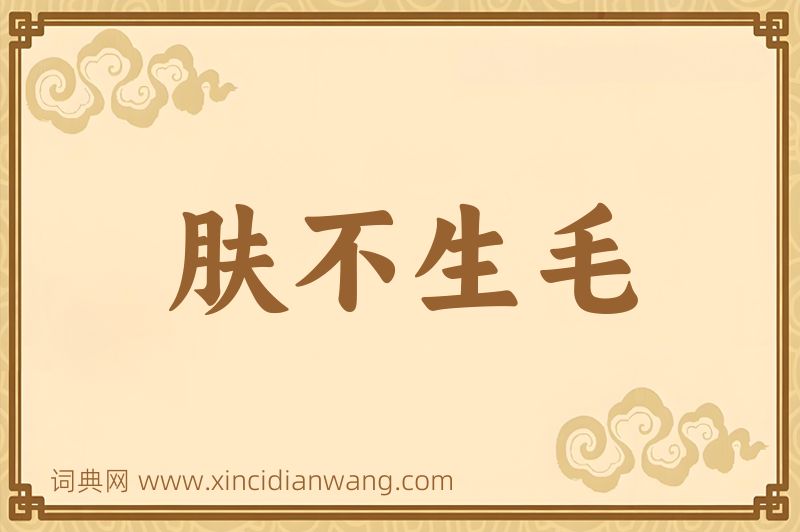成语肤不生毛图片