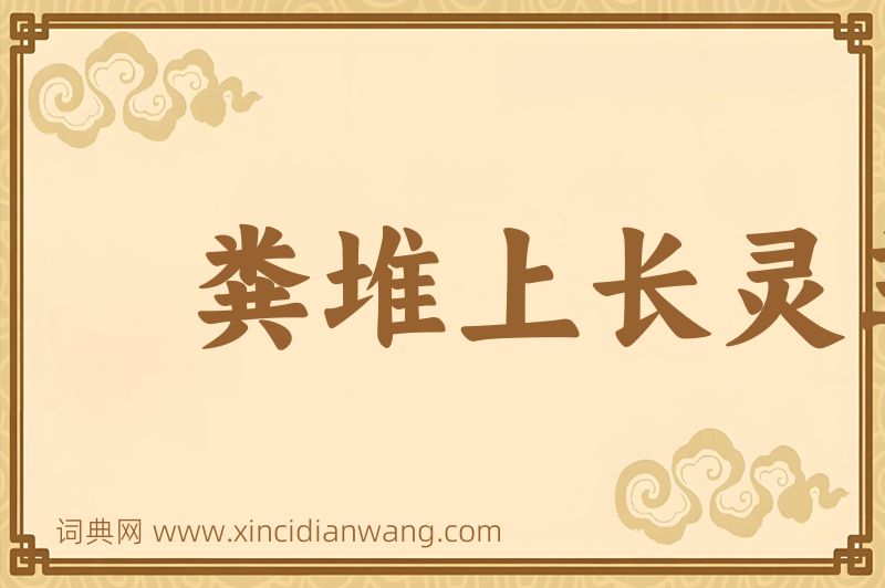 成语粪堆上长灵芝图片