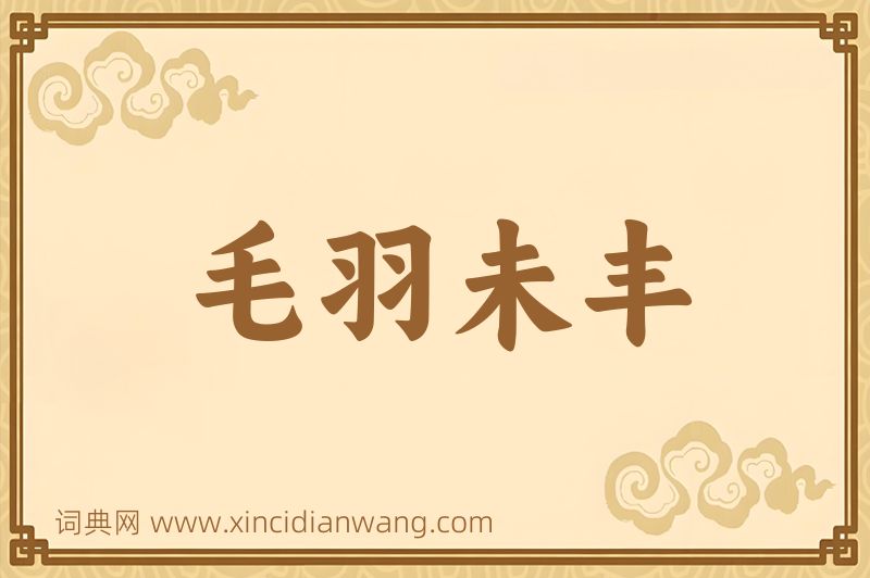 成语毛羽未丰图片
