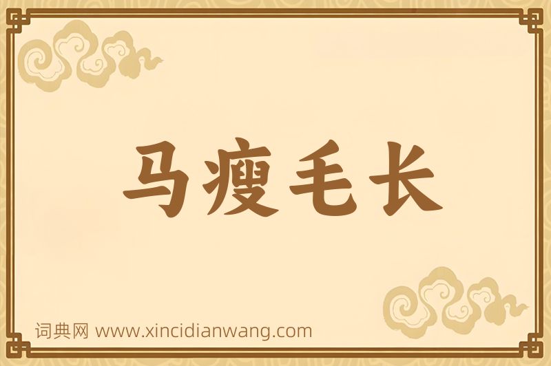 成语马瘦毛长图片