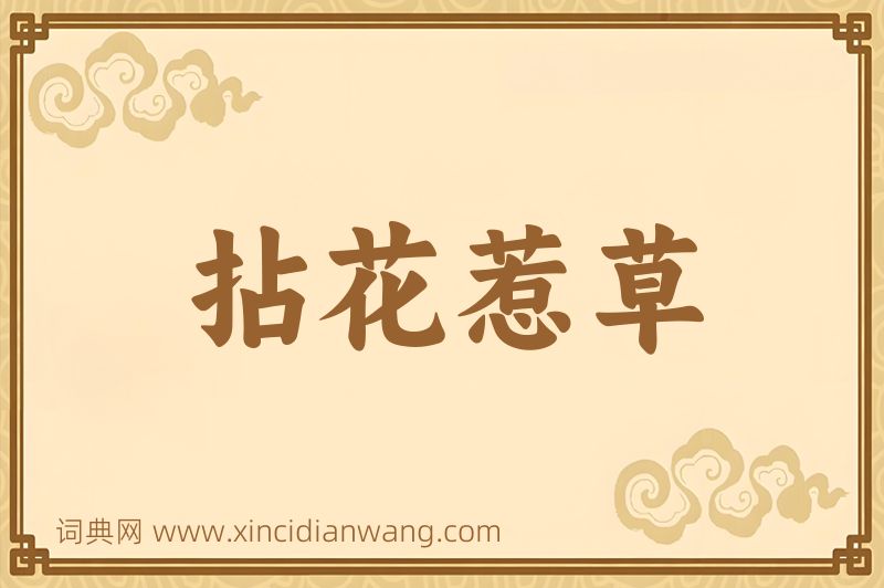成语拈花惹草图片