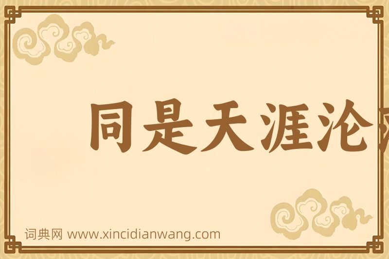 成语同是天涯沦落人图片