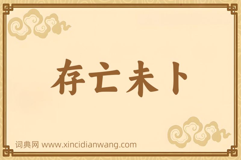 成语存亡未卜图片