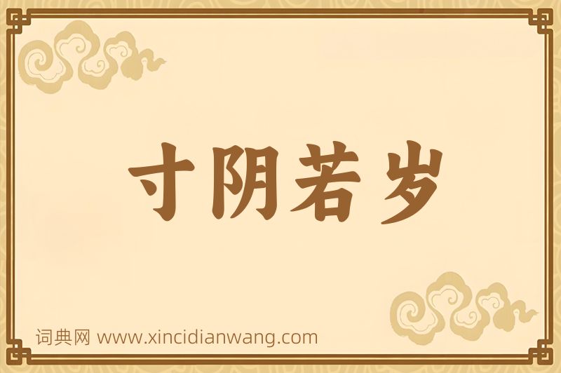 成语寸阴若岁图片