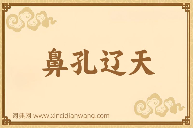 成语鼻孔辽天图片