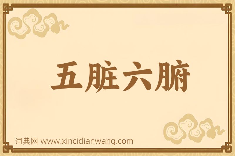 成语五脏六腑图片