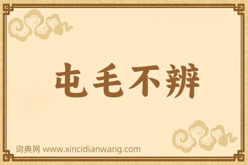 成语屯毛不辨图片