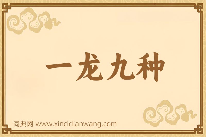成语一龙九种图片