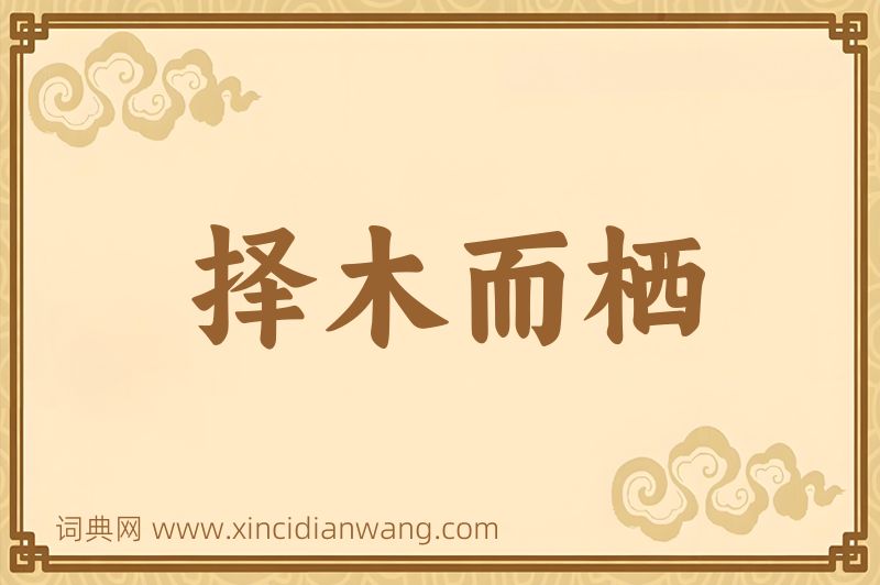 成语择木而栖图片