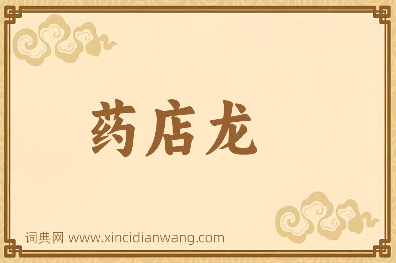 成语药店龙图片