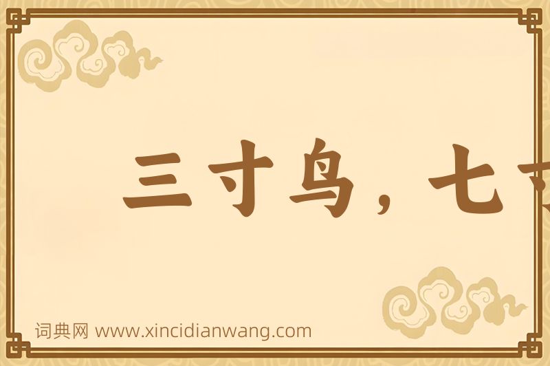 成语三寸鸟，七寸嘴图片