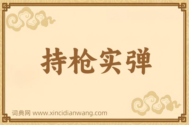 成语持枪实弹图片