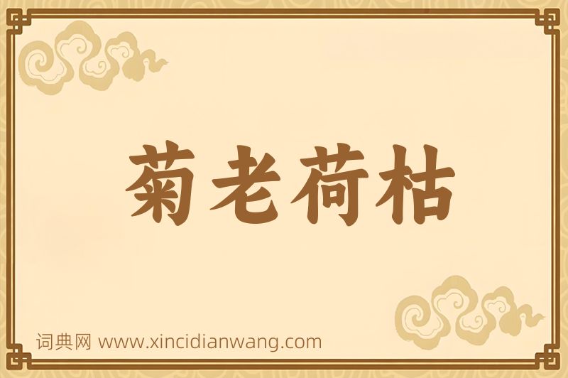 成语菊老荷枯图片