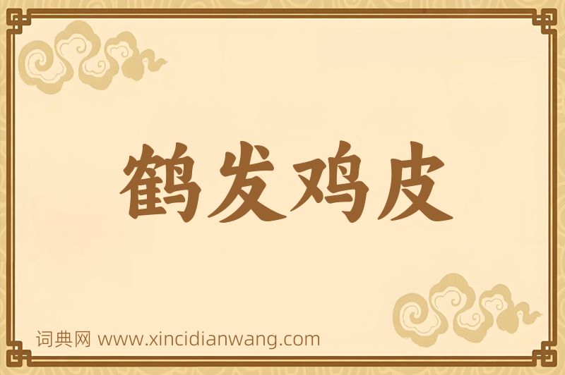 成语鹤发鸡皮图片