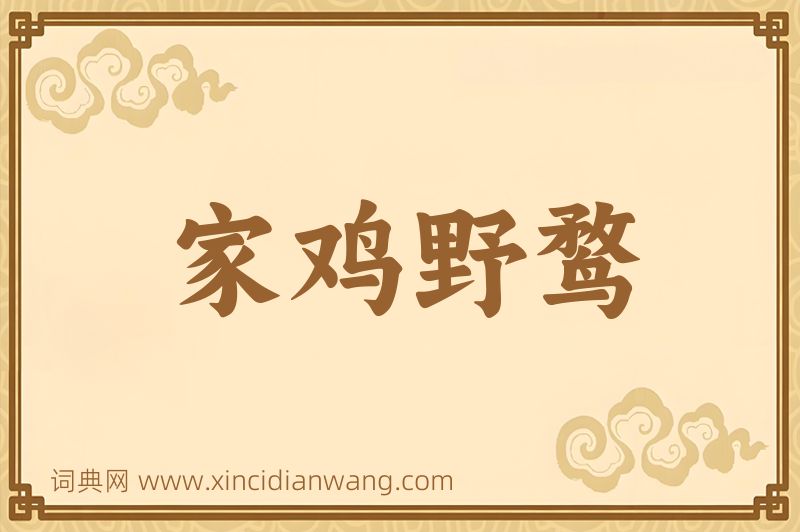 成语家鸡野鹜图片