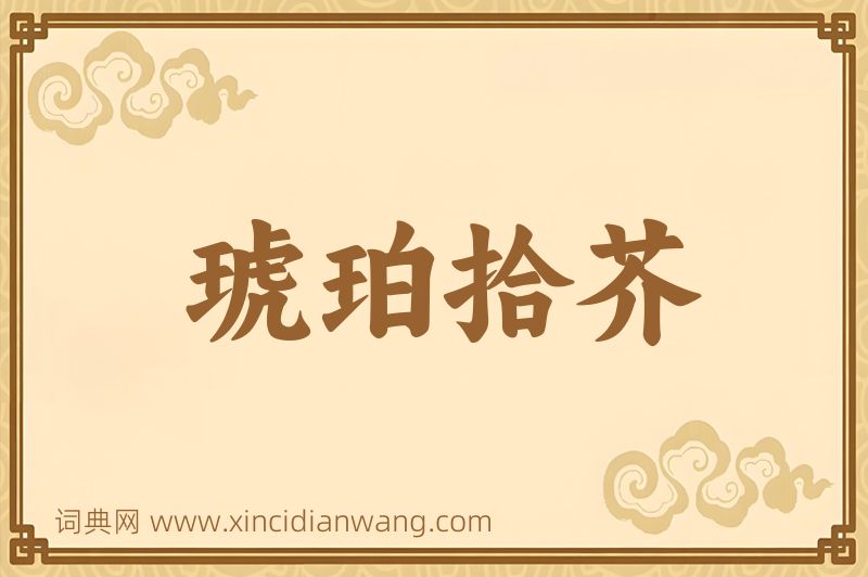 成语琥珀拾芥图片