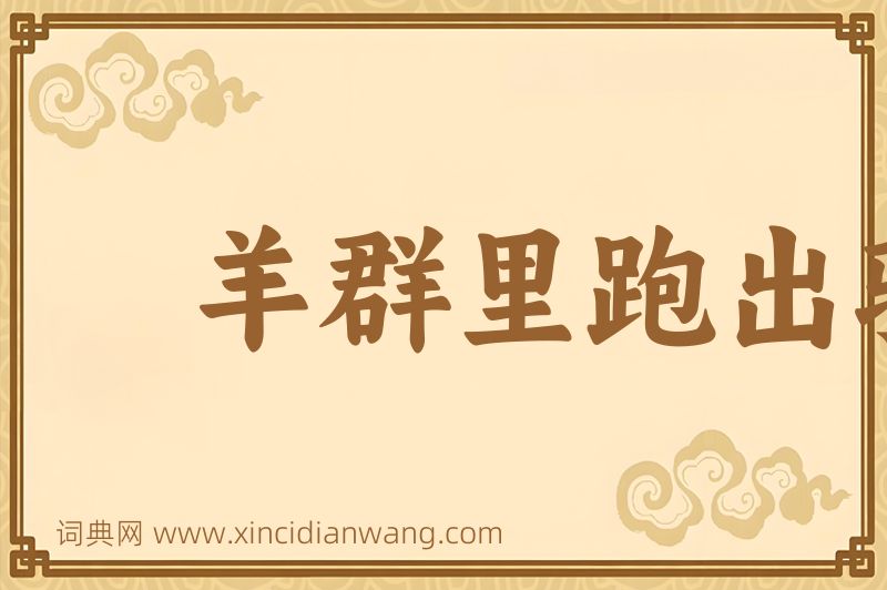 成语羊群里跑出骆驼来图片