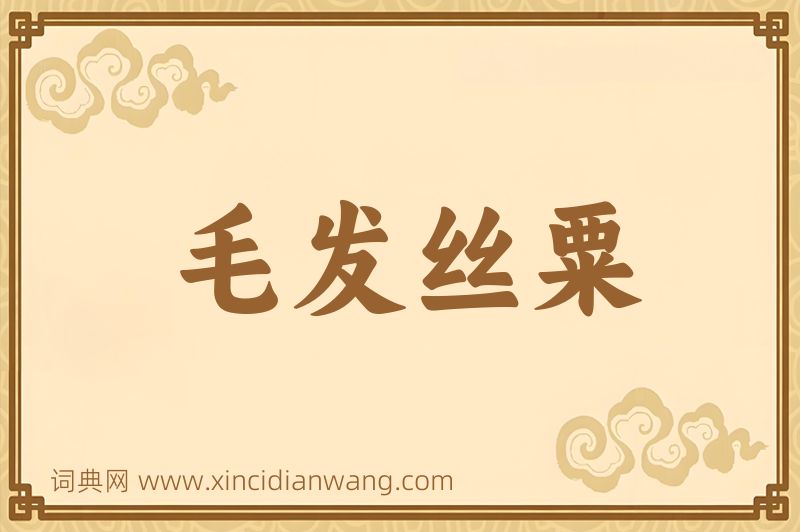 成语毛发丝粟图片
