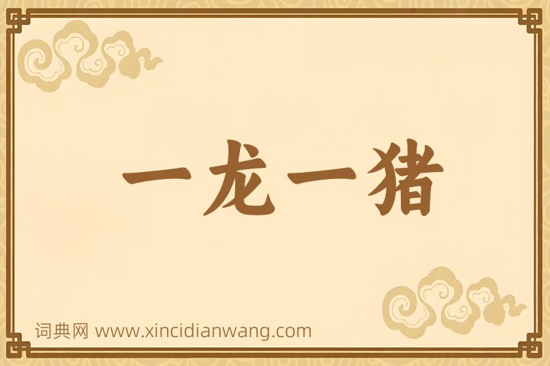 成语一龙一猪图片