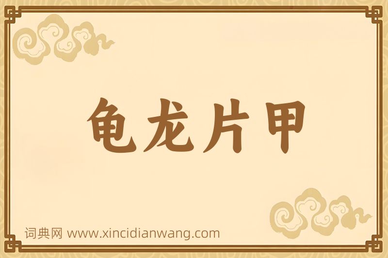 成语龟龙片甲图片