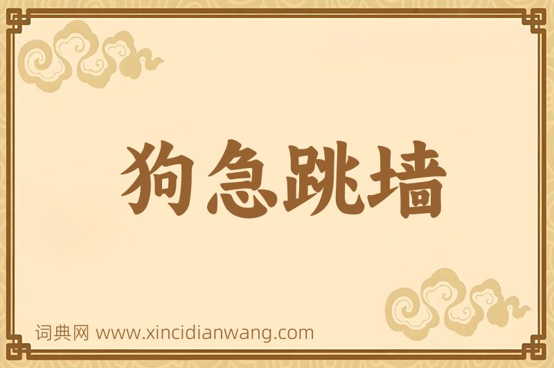 成语狗急跳墙图片