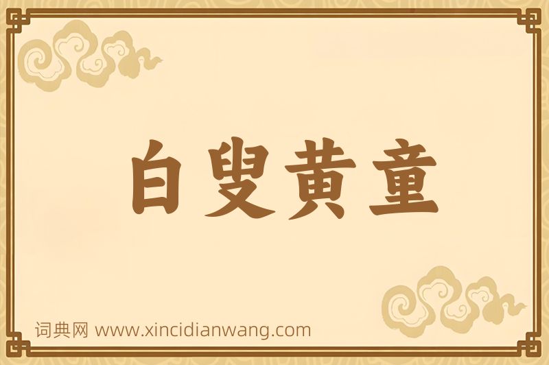 成语白叟黄童图片