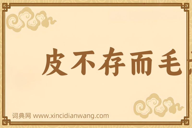成语皮不存而毛焉附图片