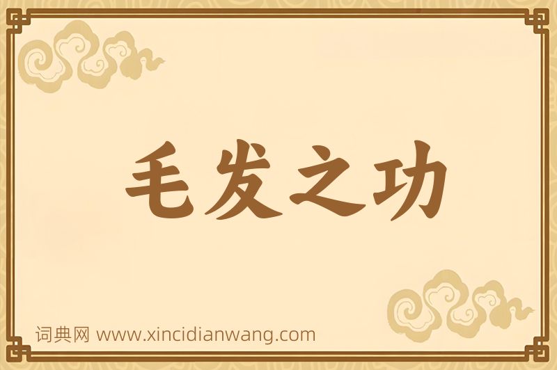 成语毛发之功图片