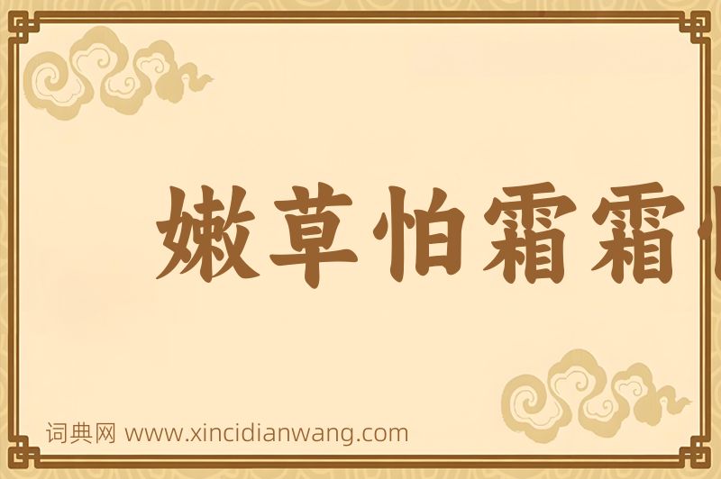 成语嫩草怕霜霜怕日图片