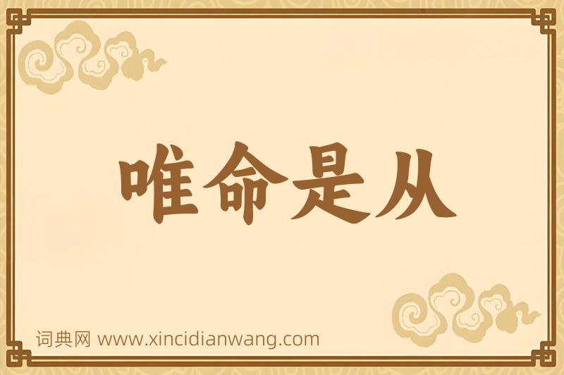 成语唯命是从图片