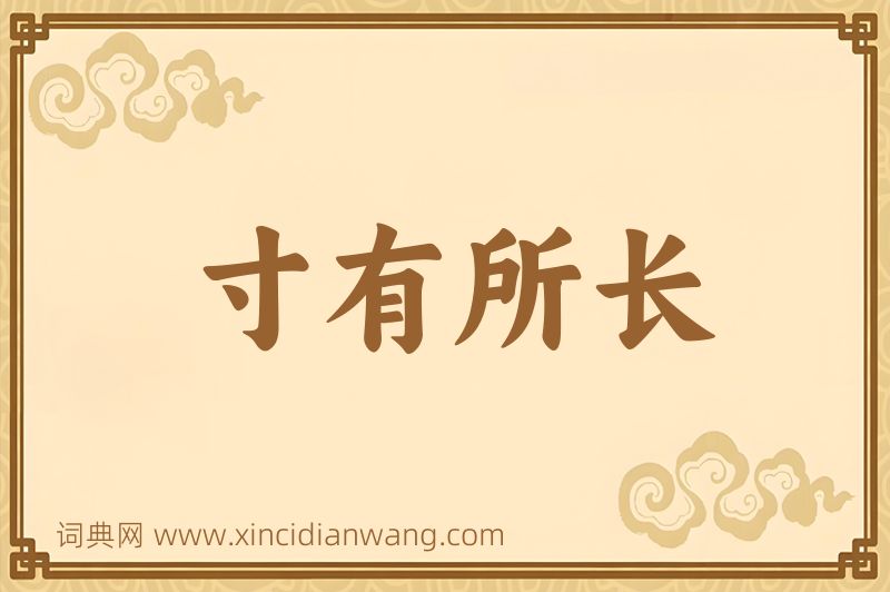 成语寸有所长图片