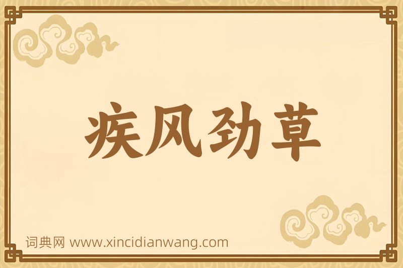 成语疾风劲草图片