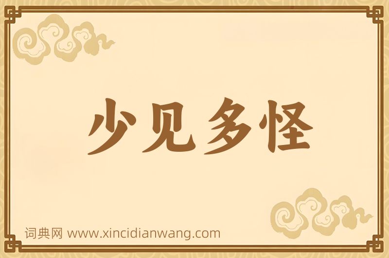 成语少见多怪图片