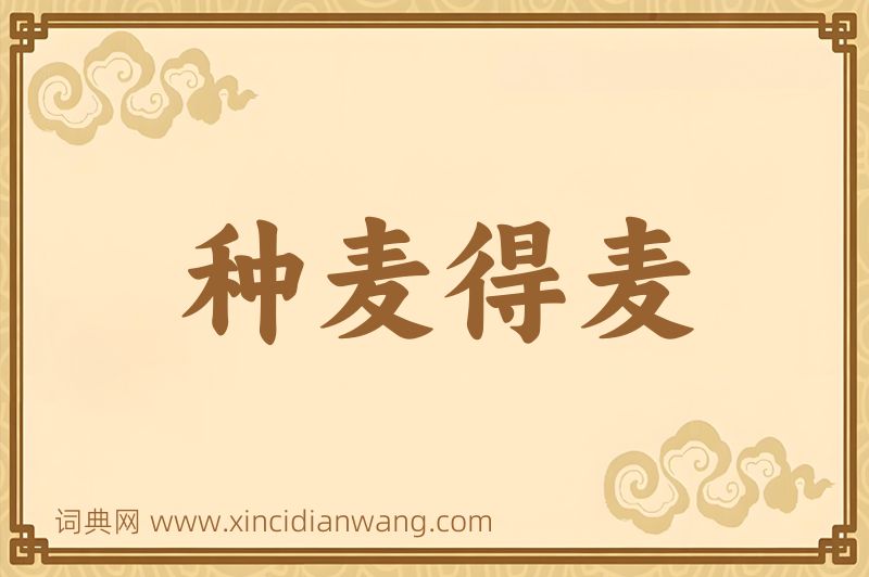 成语种麦得麦图片